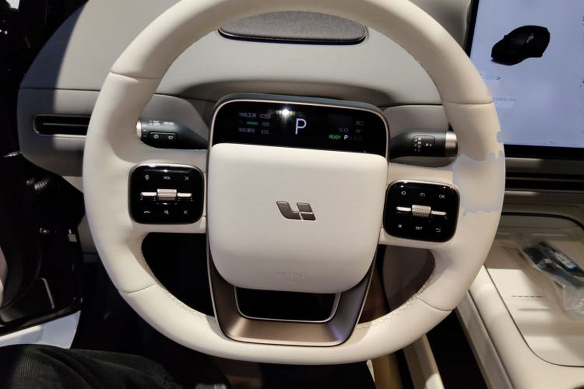 Miniatura 10