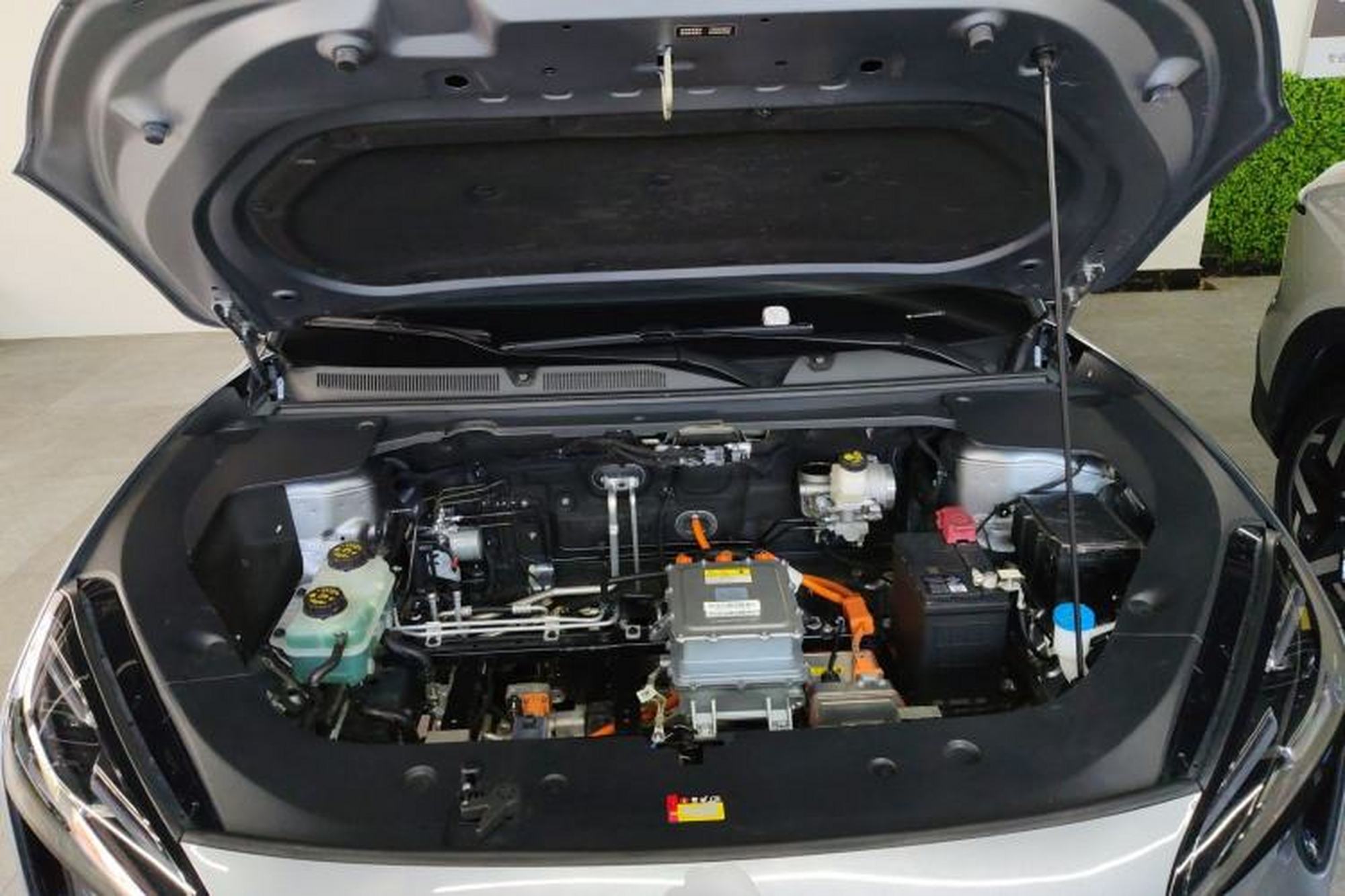 Miniatura 24