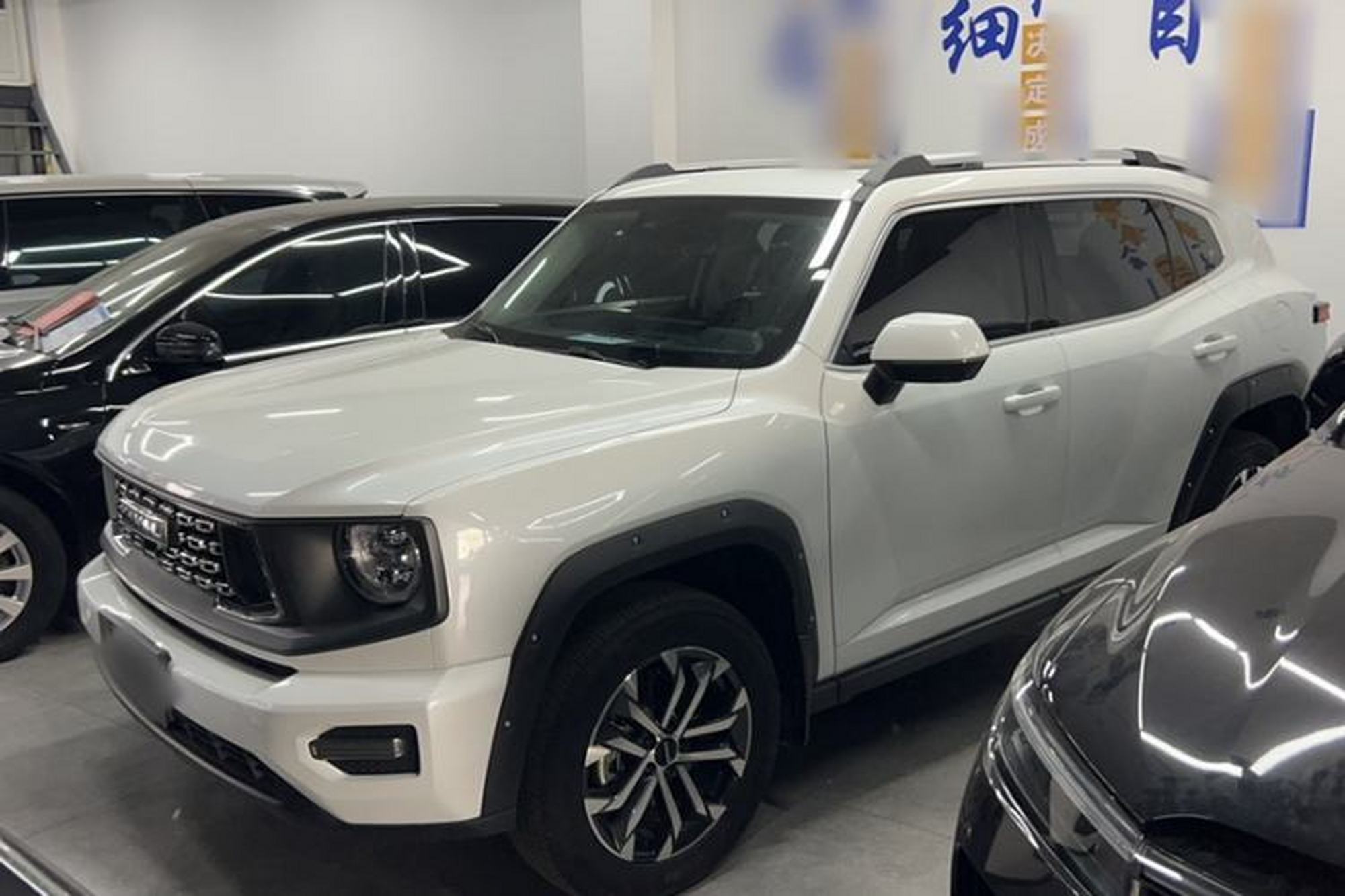 Haval H Dog
