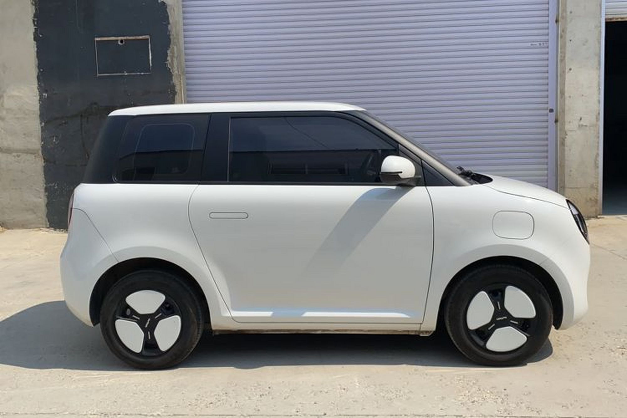 Miniatura 13