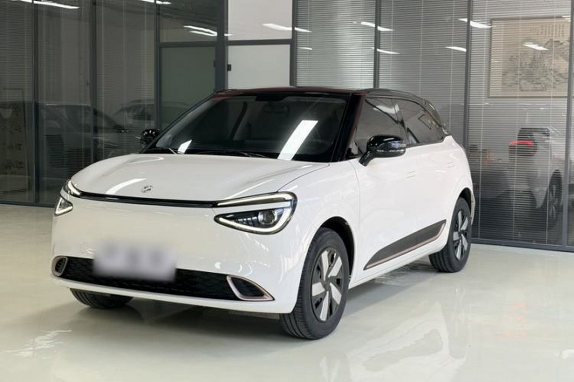 Dongfeng NAMMI 01