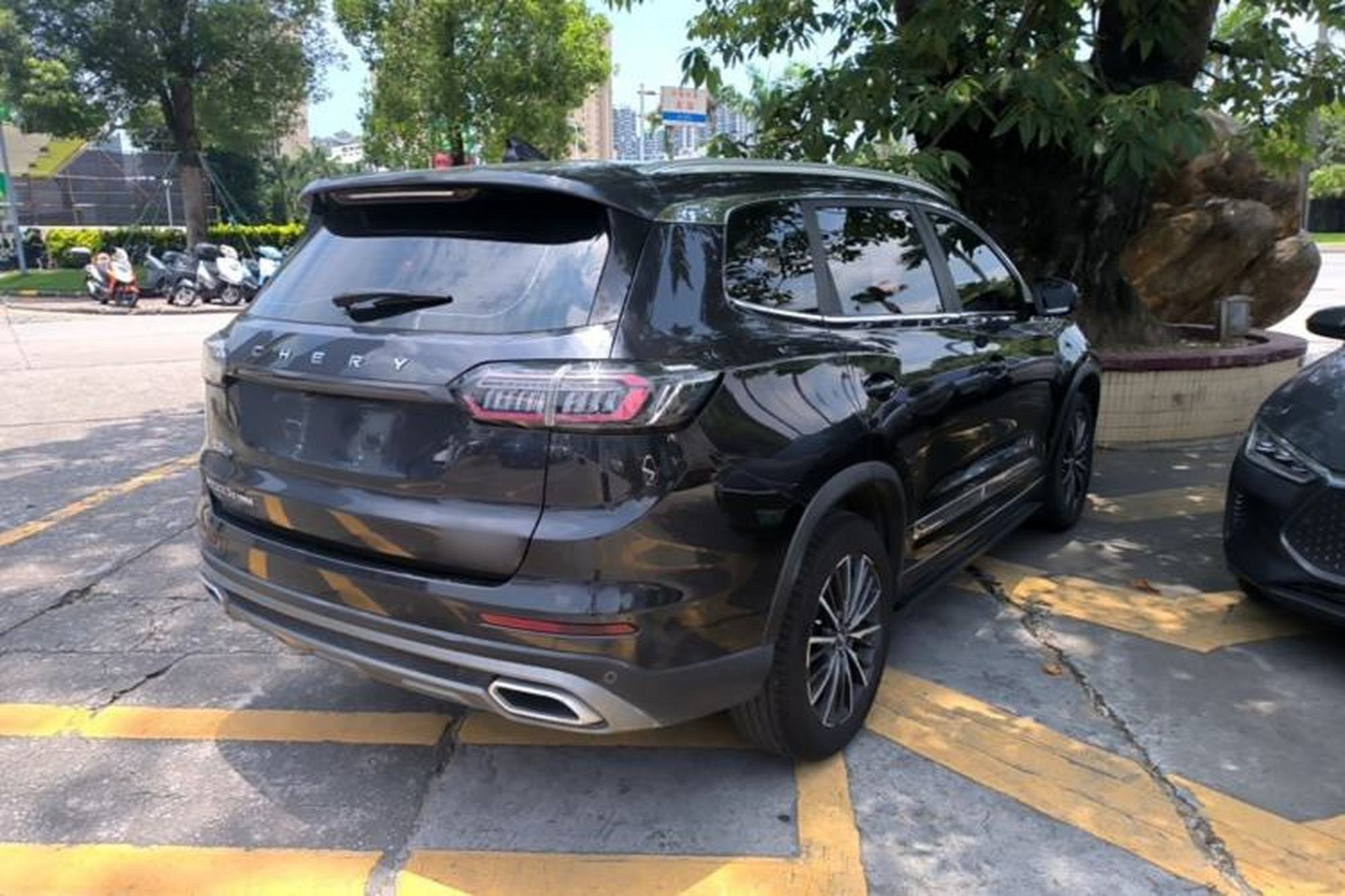 Miniatura 6