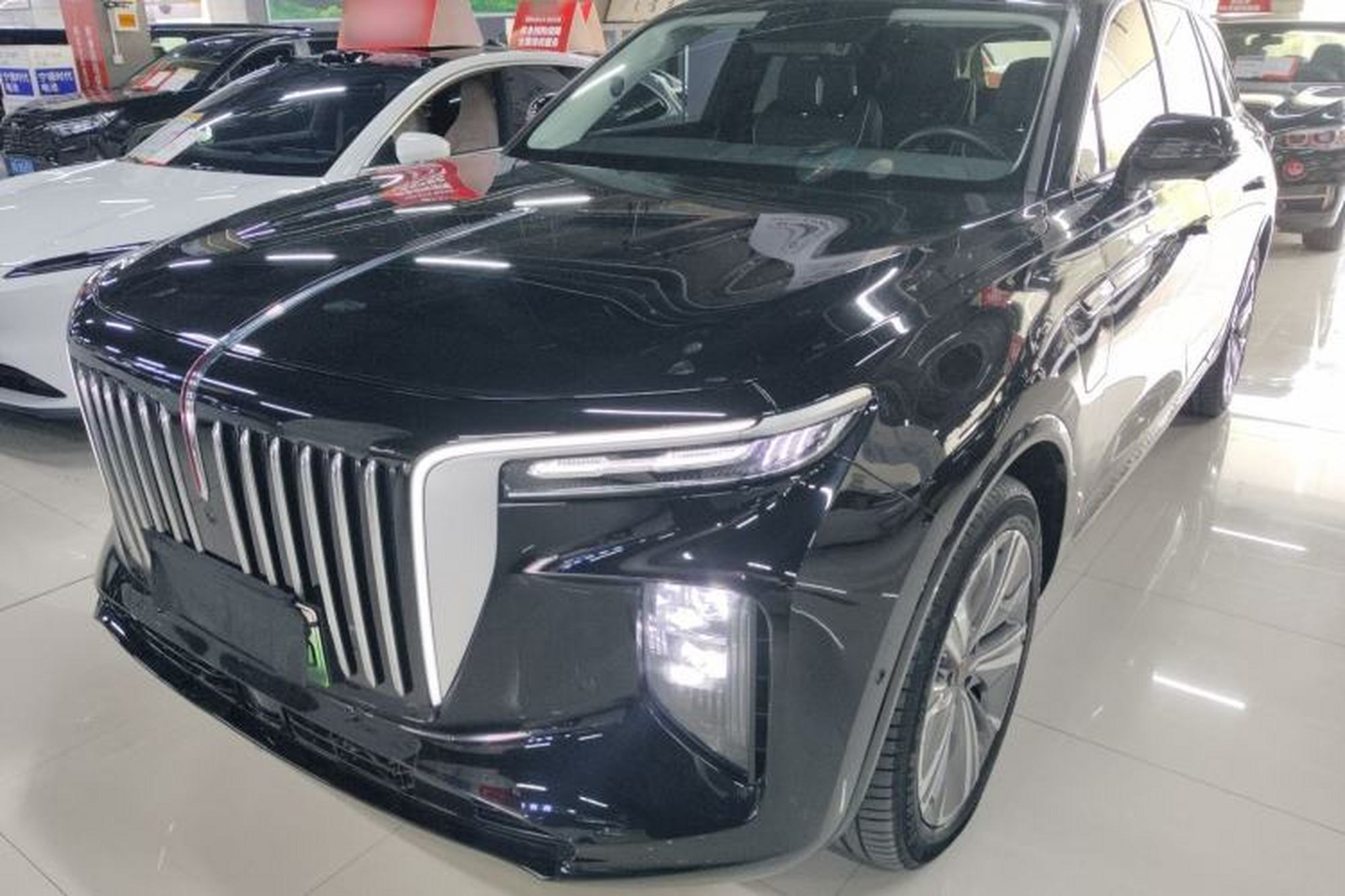 HongQi E-HS9