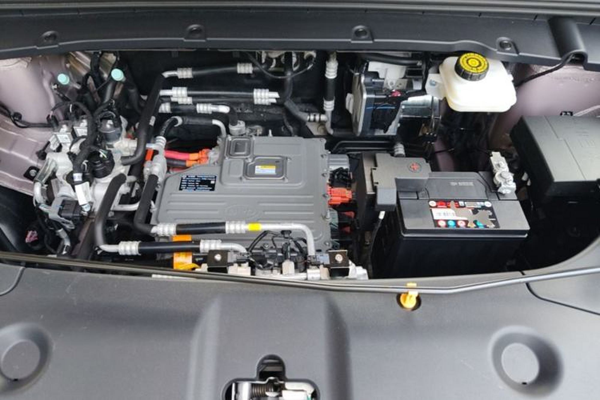 Miniatura 24