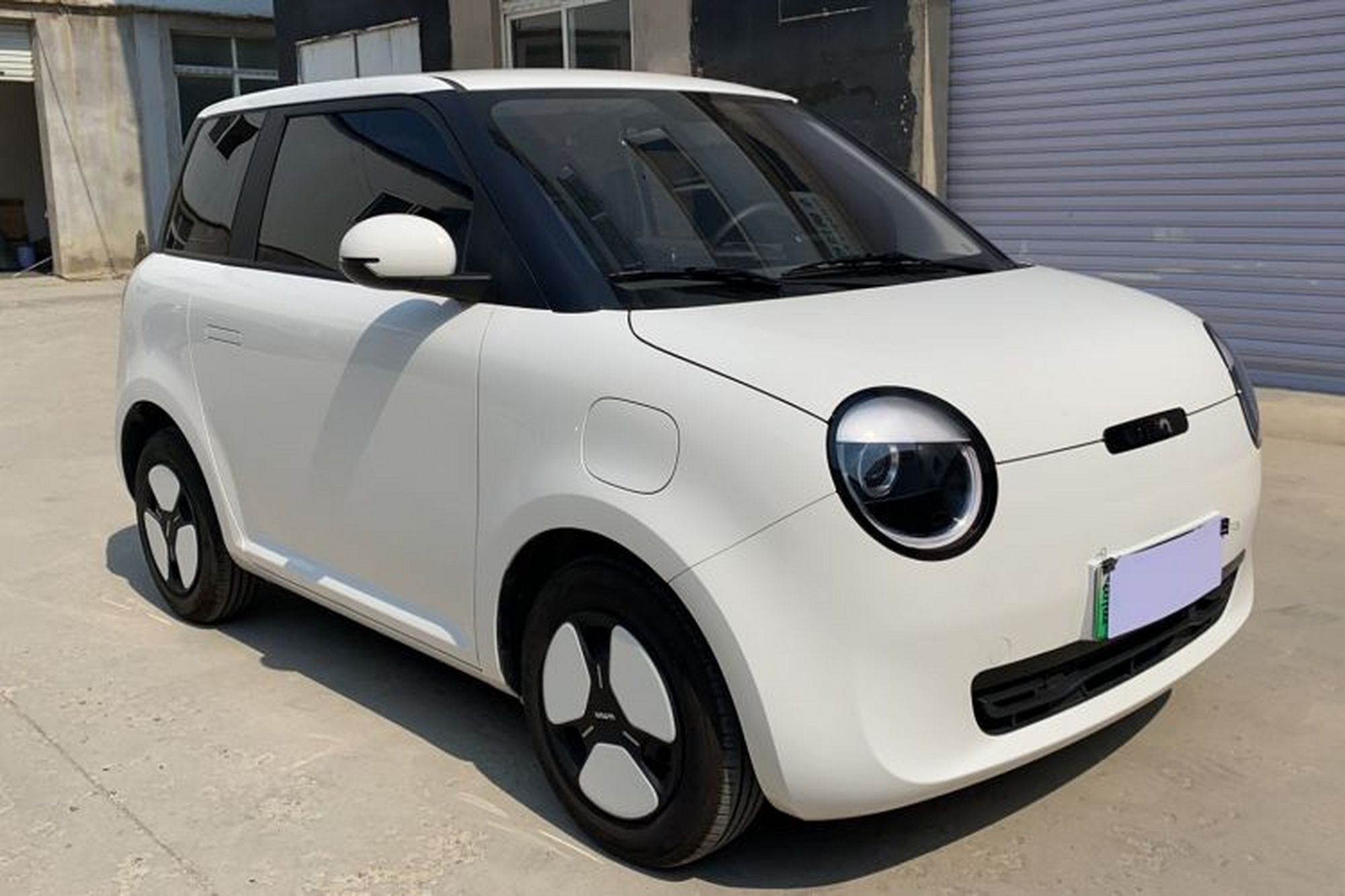 Miniatura 12