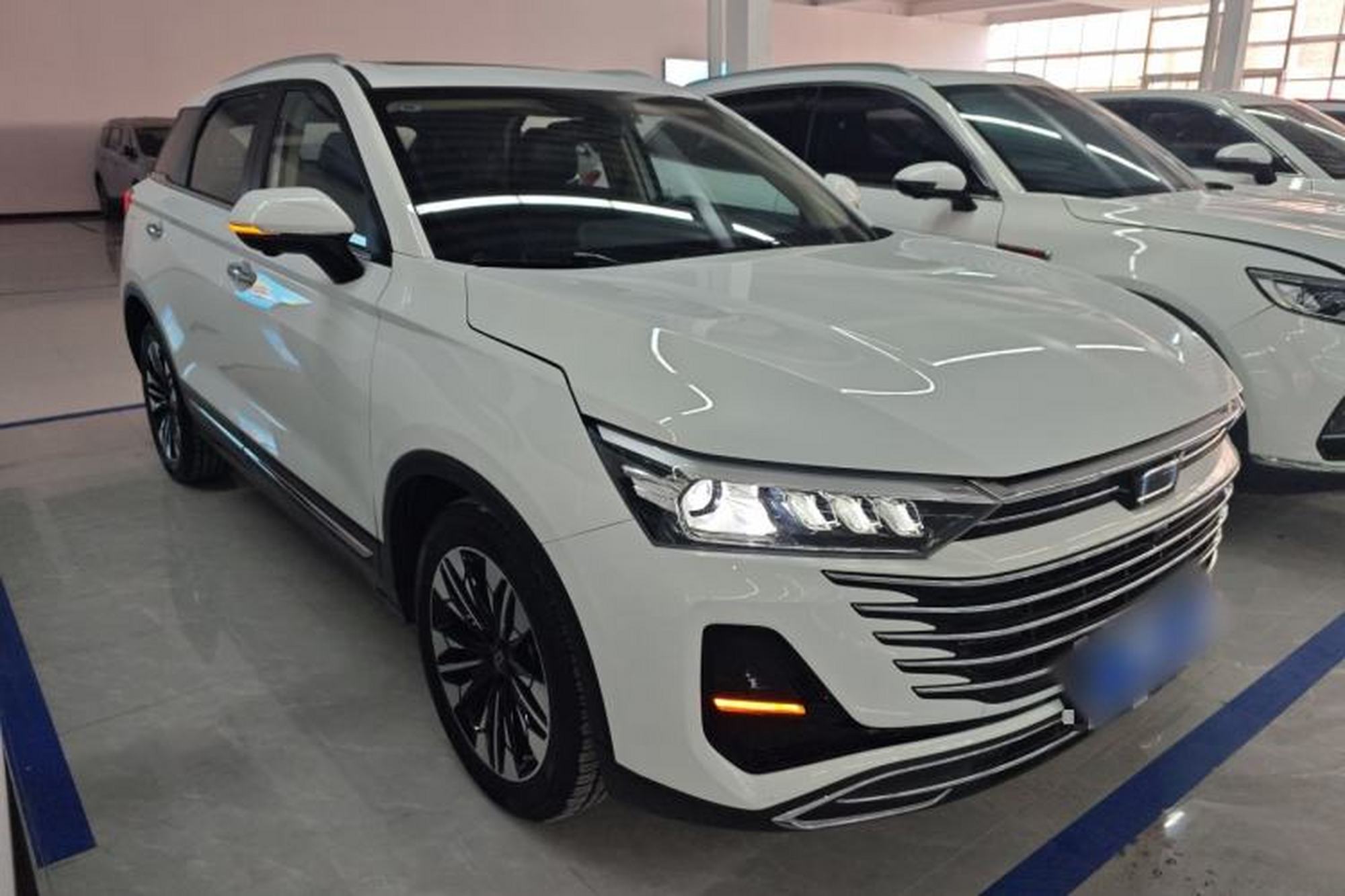 Miniatura 5