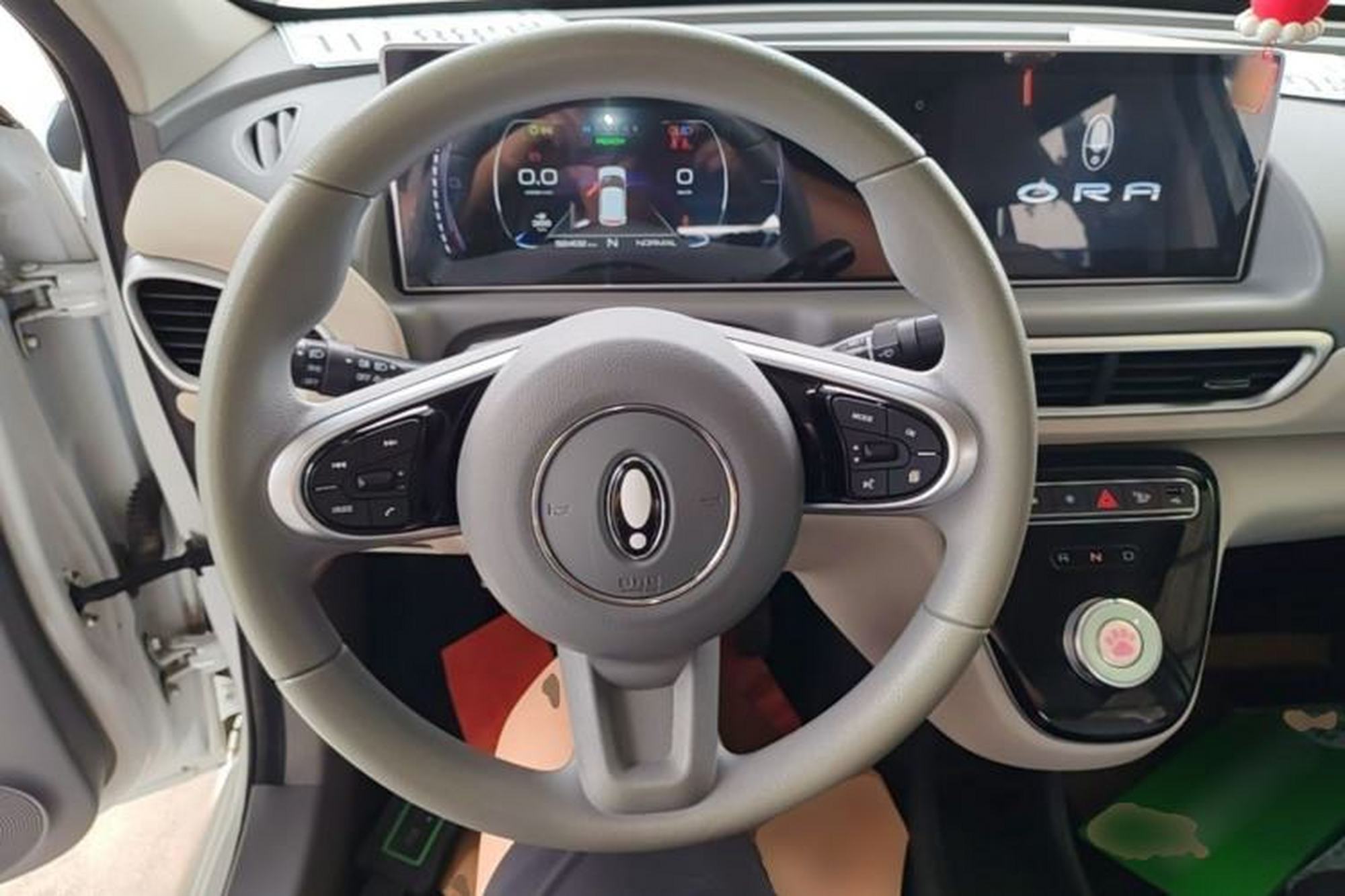 Miniatura 13