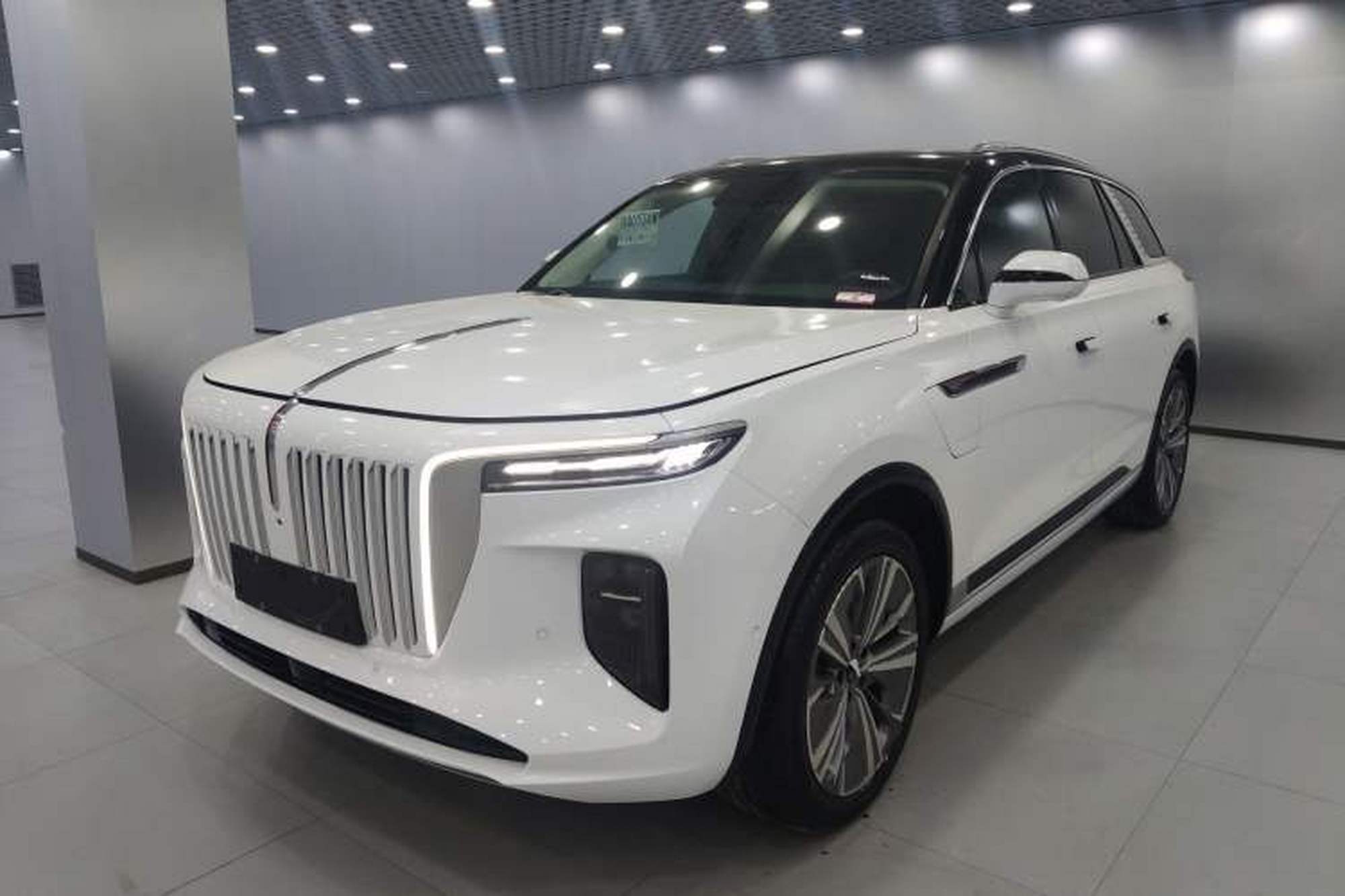 HongQi E-HS9
