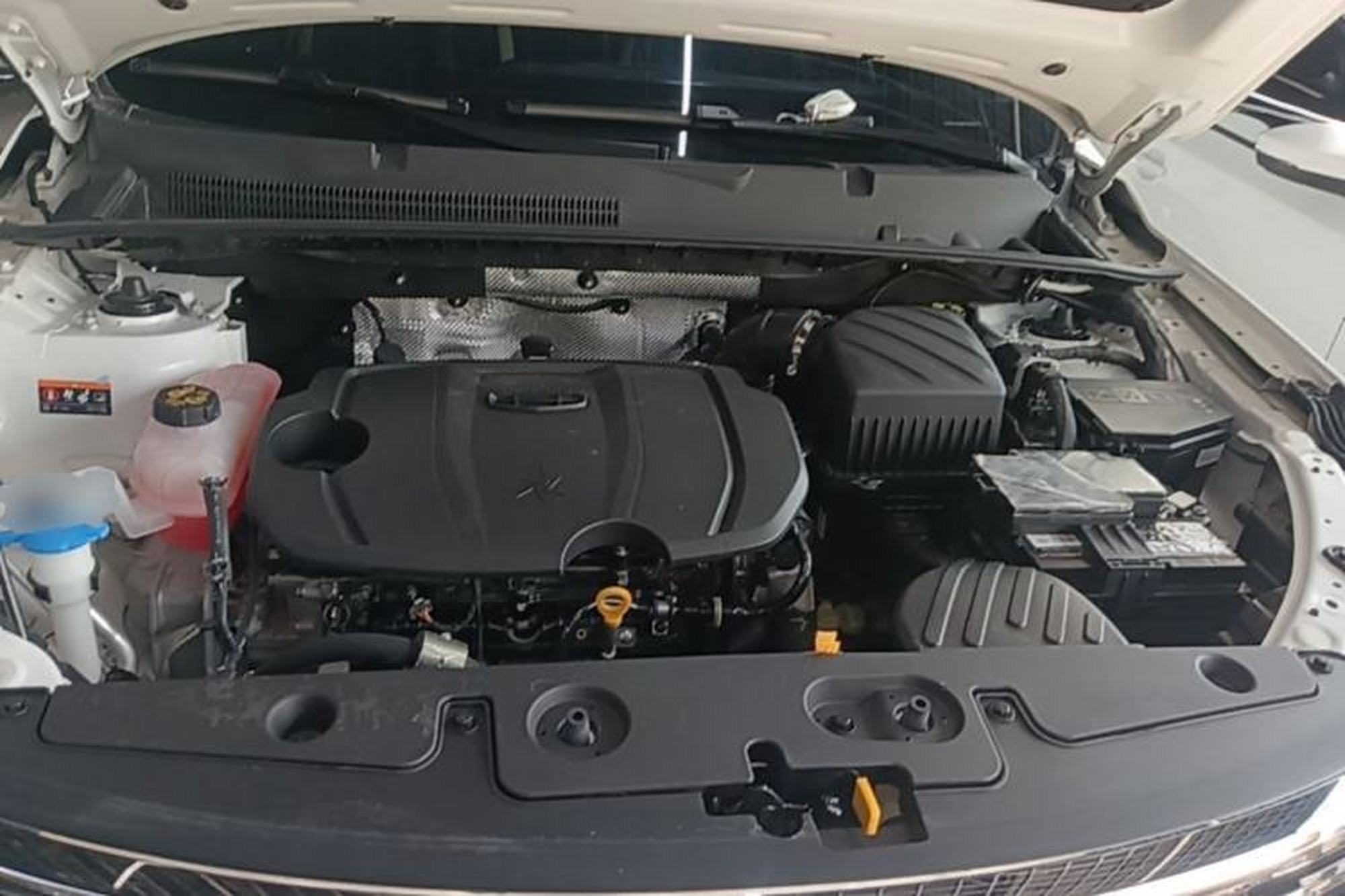 Miniatura 24