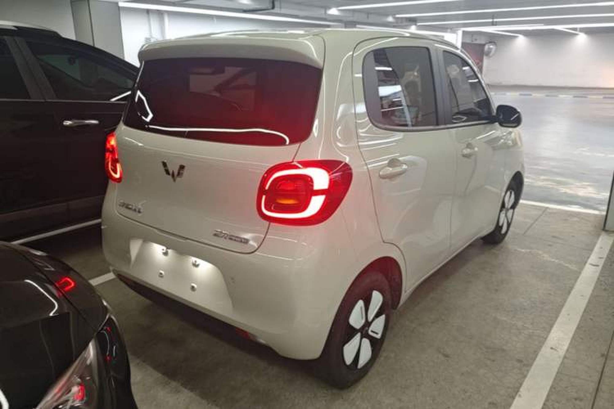 Miniatura 6