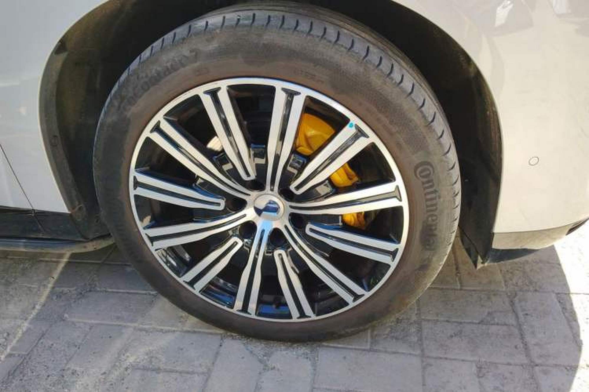 Miniatura 8