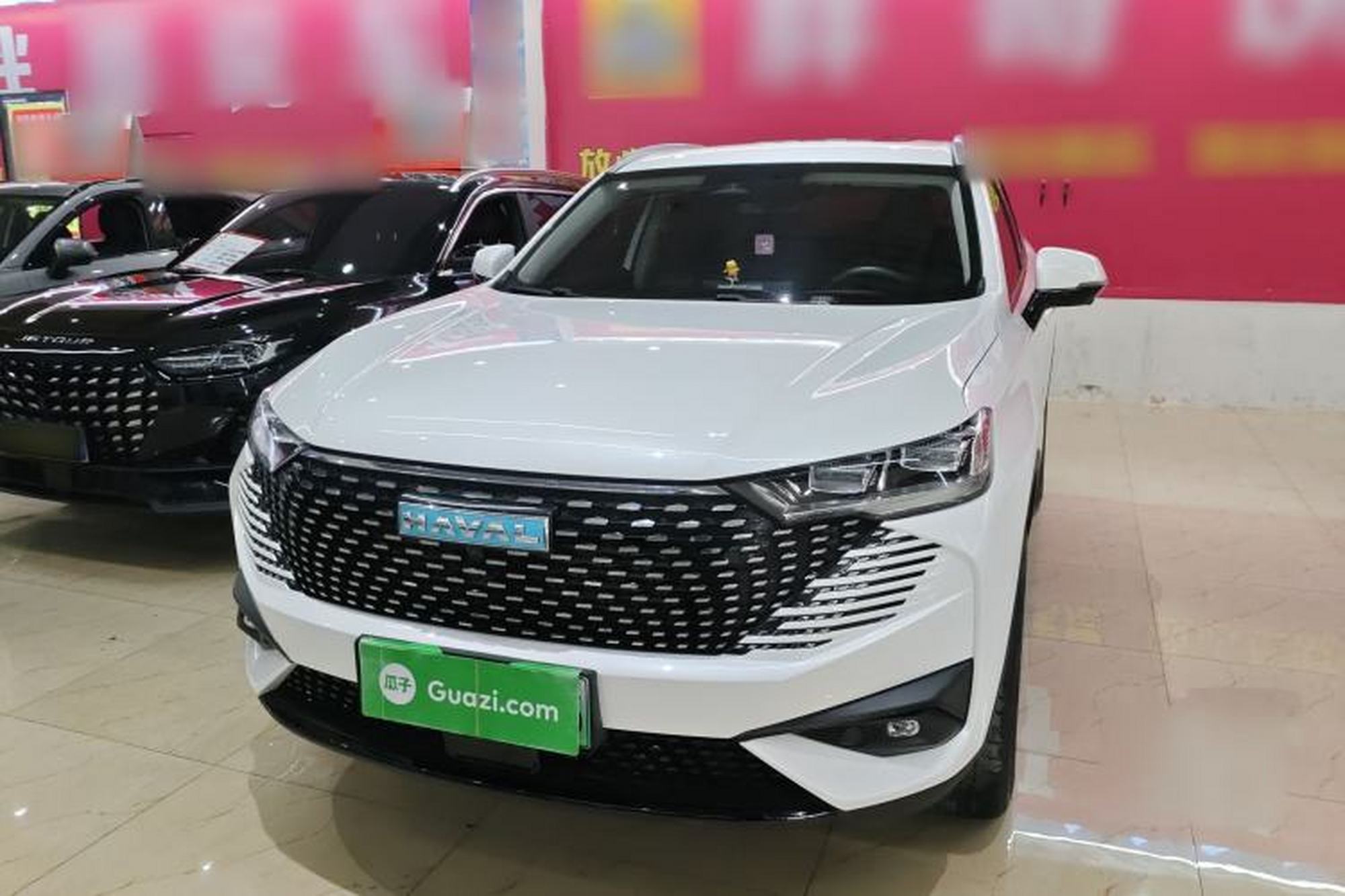 Haval H6 New Energy