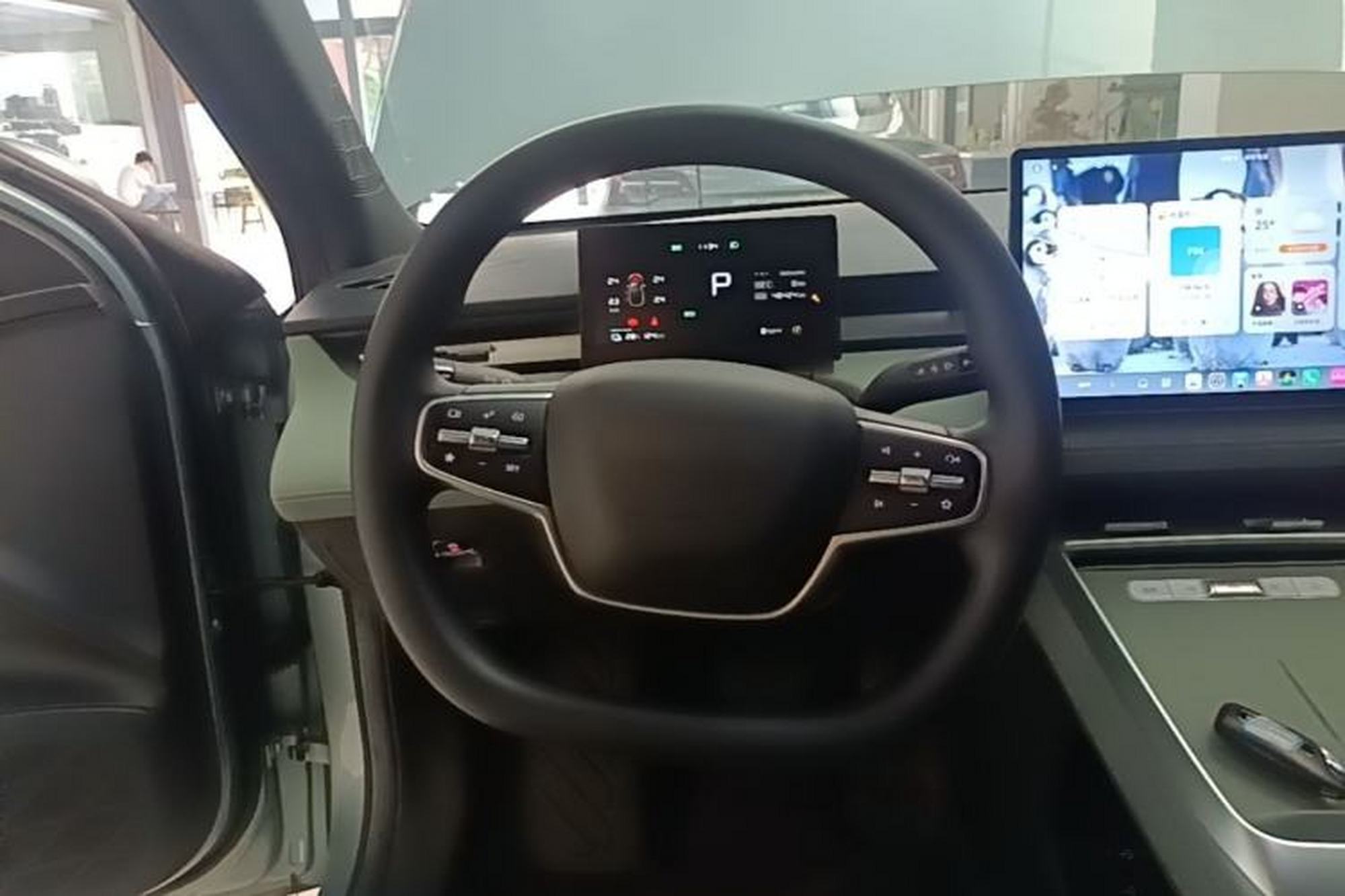 Miniatura 13