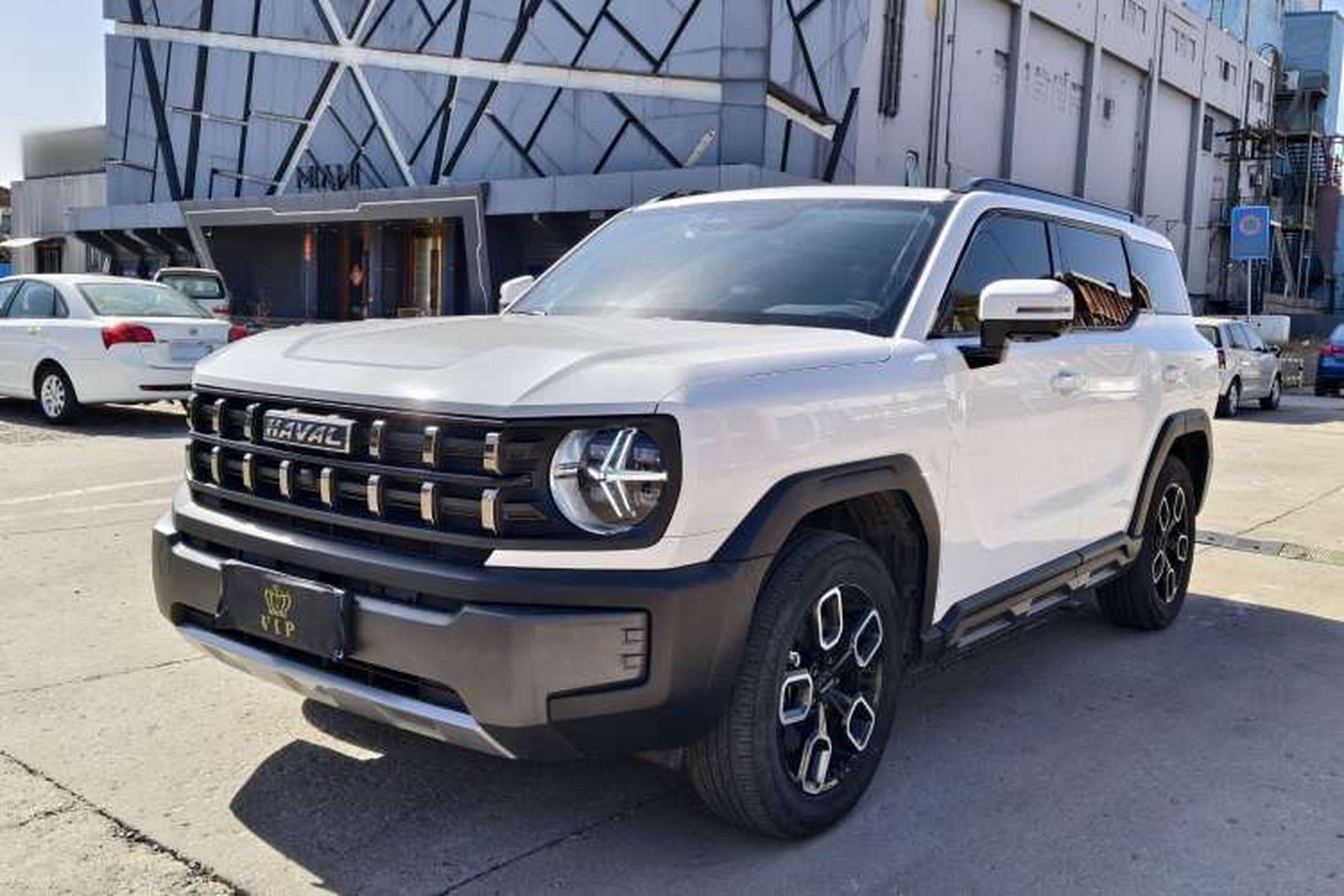 Haval X DOG