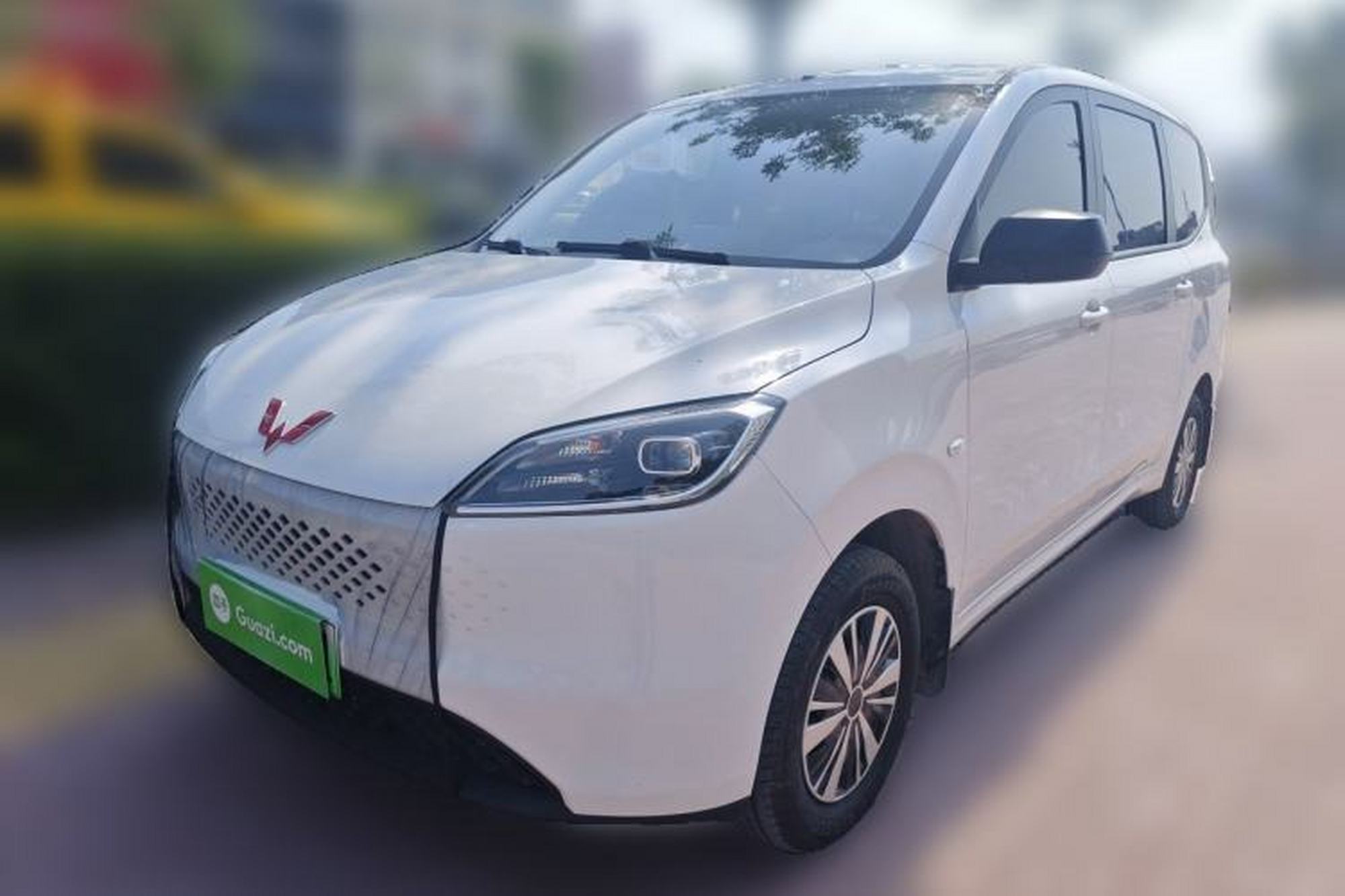 WuLing Hongguang New Energy