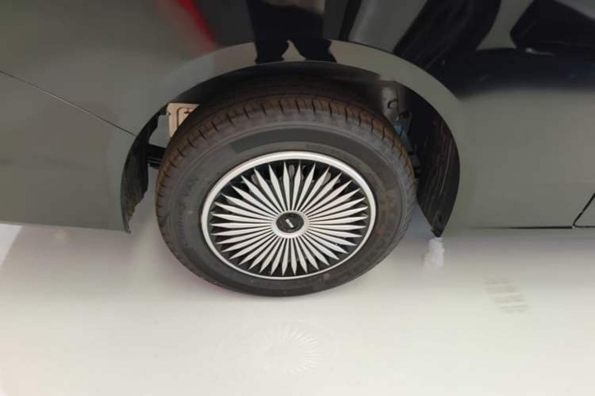 Miniatura 11