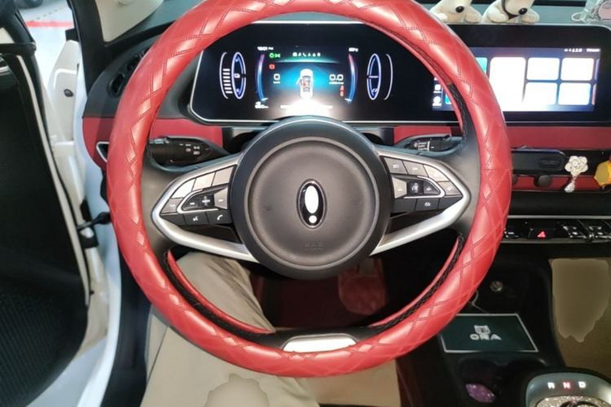 Miniatura 13