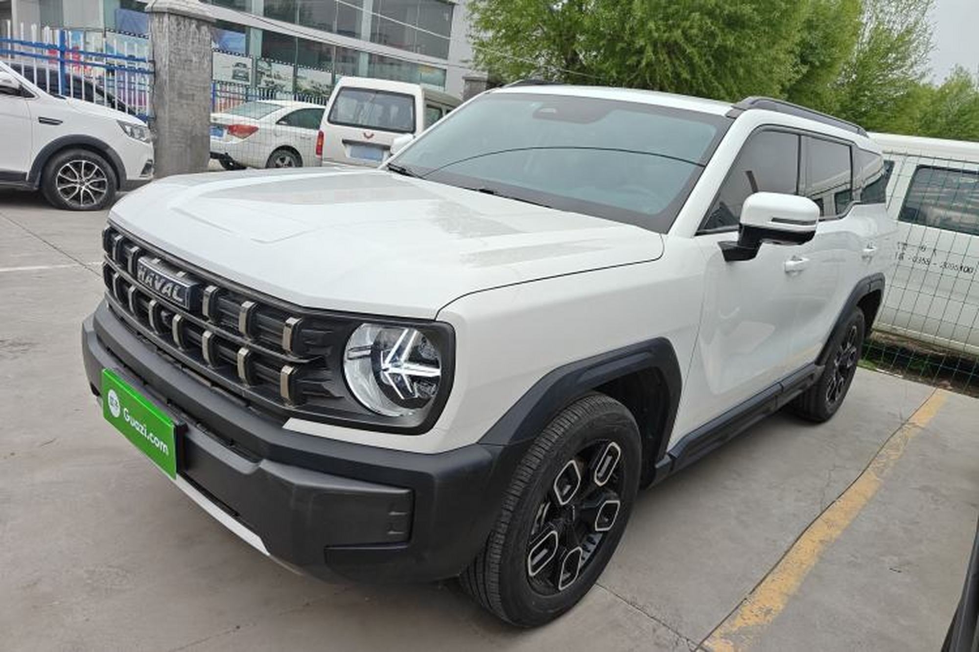 Haval X DOG