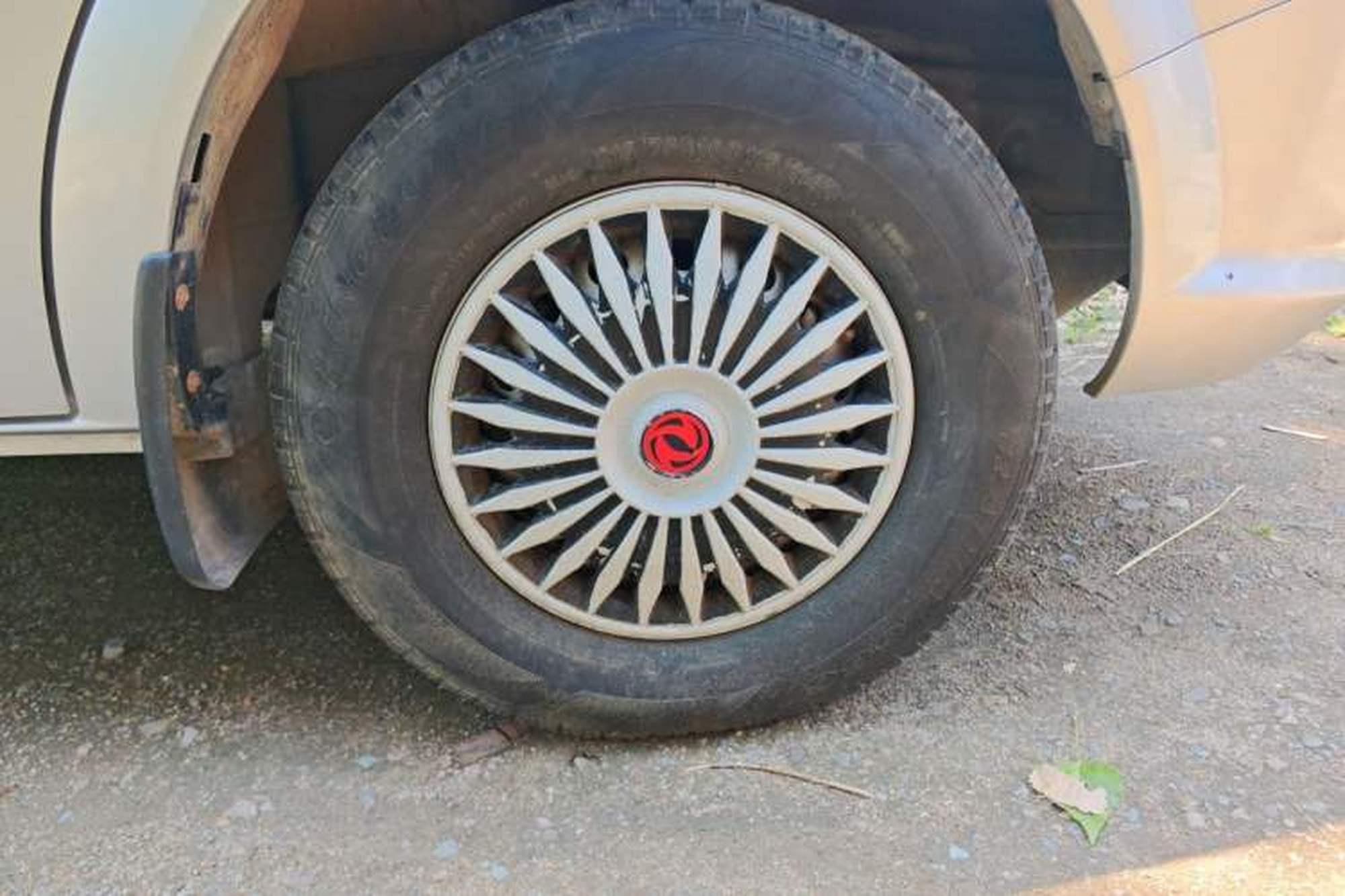 Miniatura 8