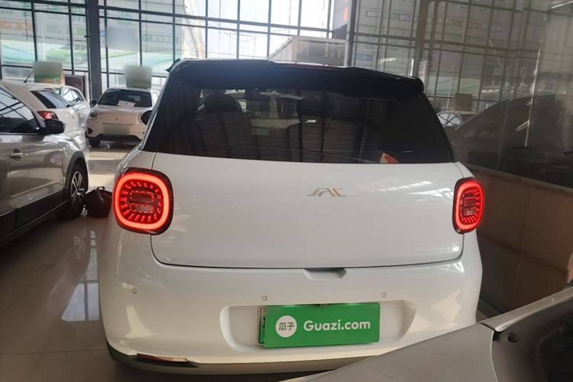 Miniatura 5