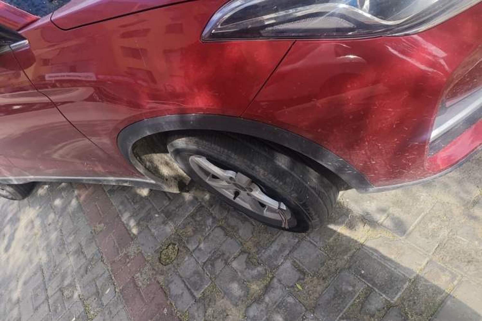 Vorschaubild 8