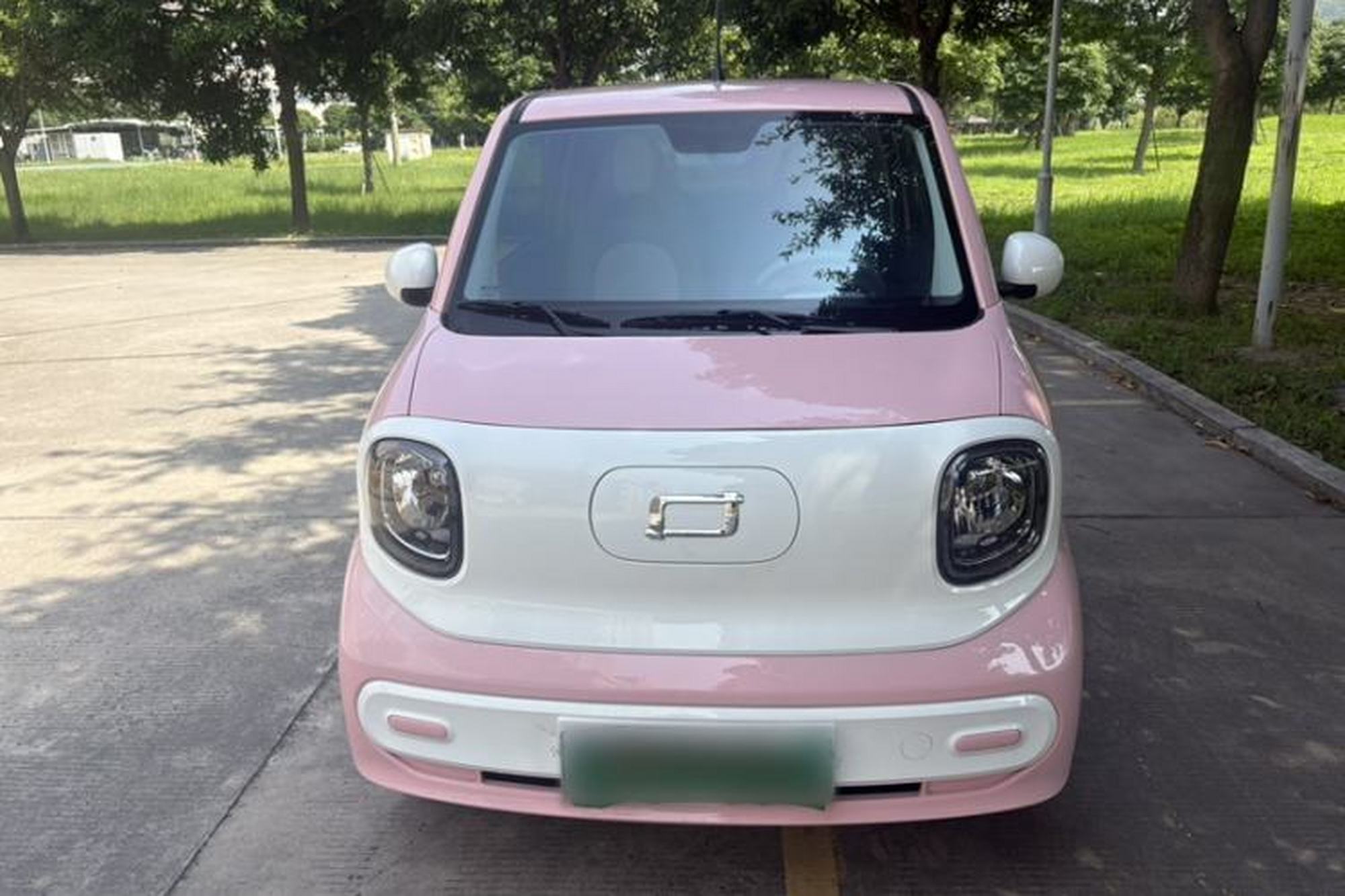 Miniatura 6