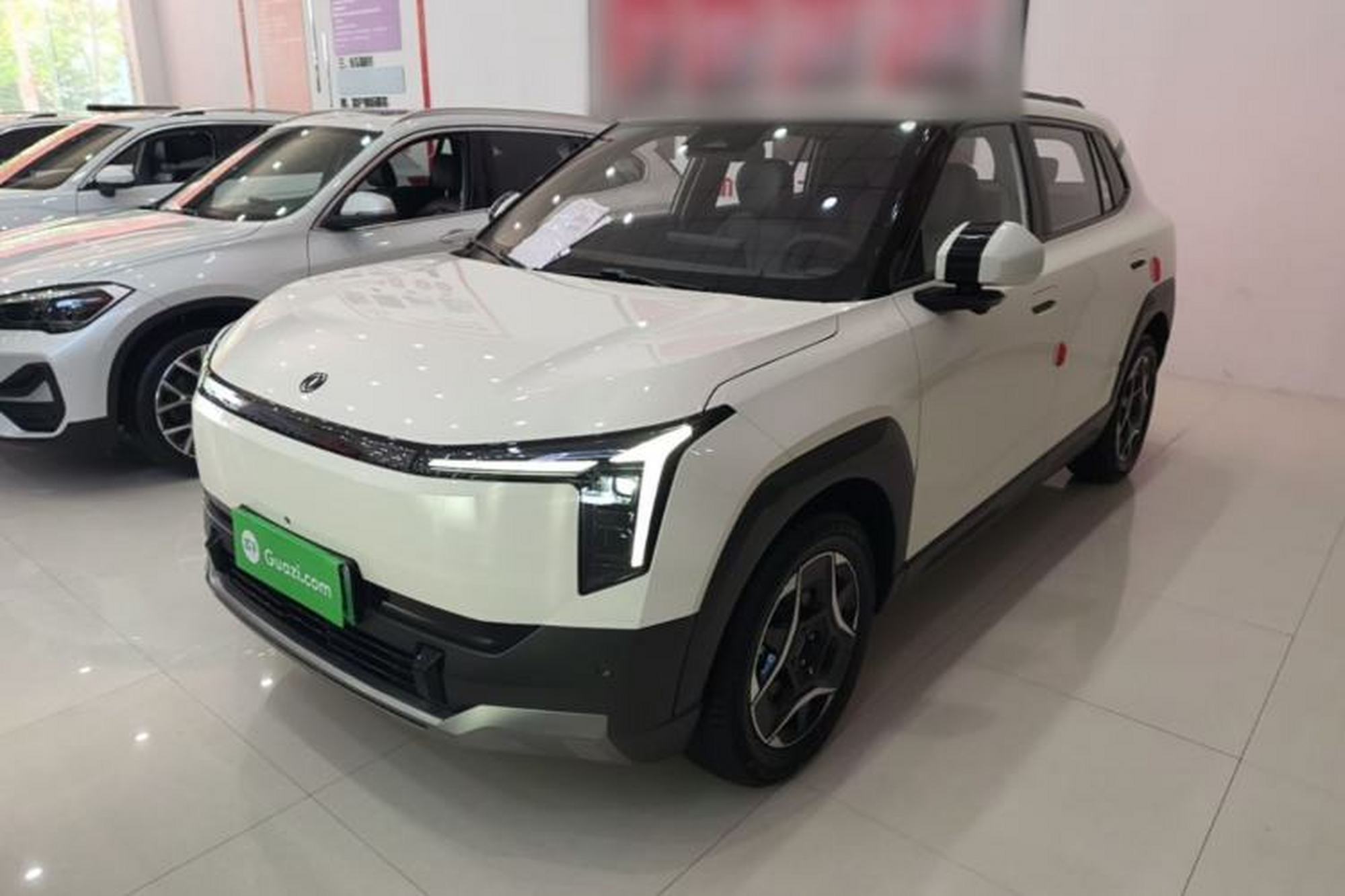 Dongfeng NAMMI 06