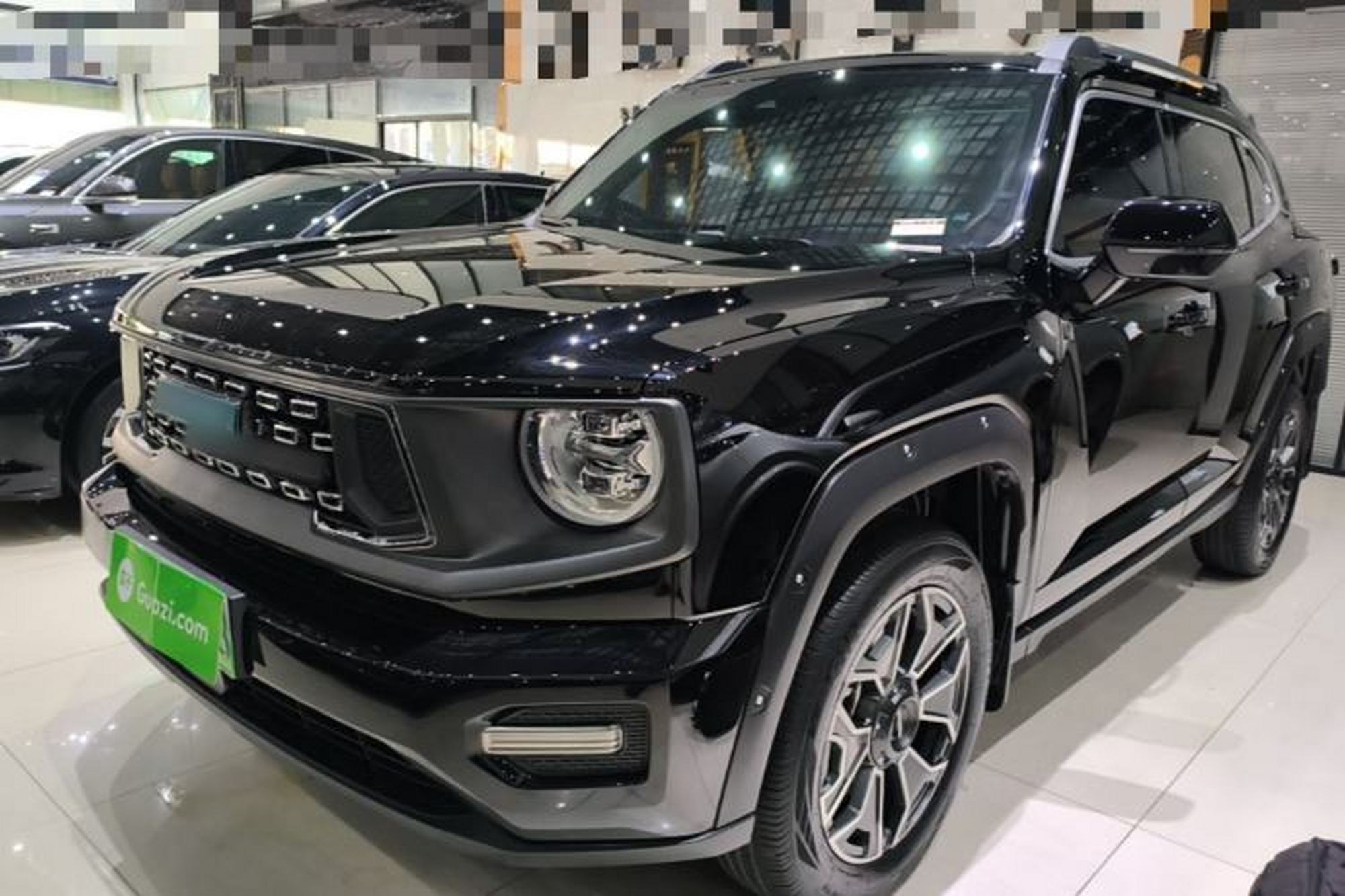Haval H Dog New Energy