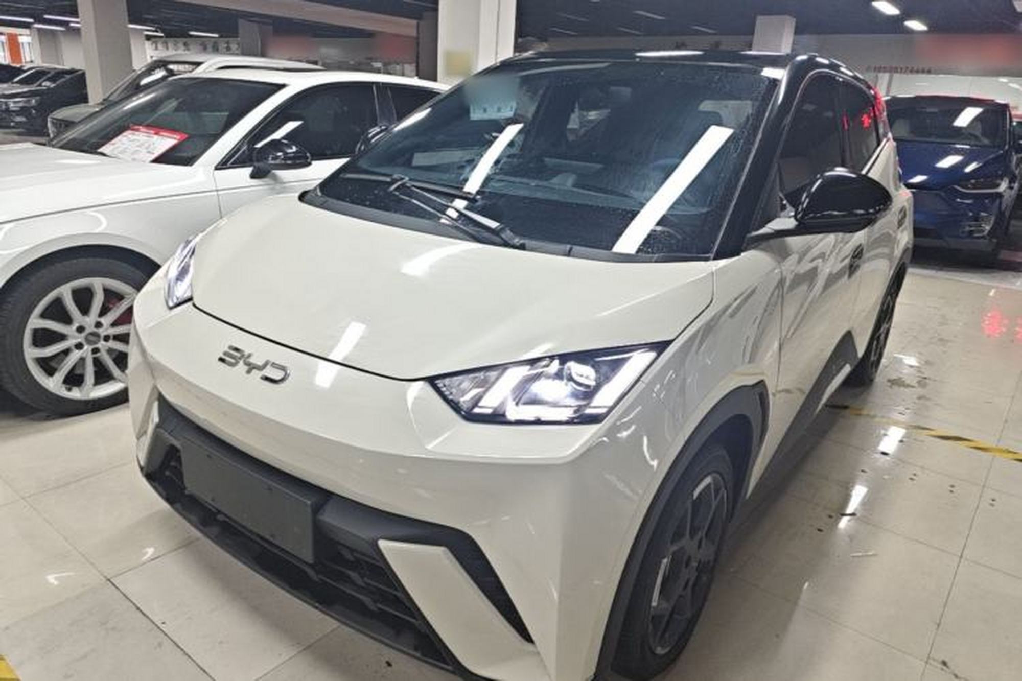 BYD Seagull