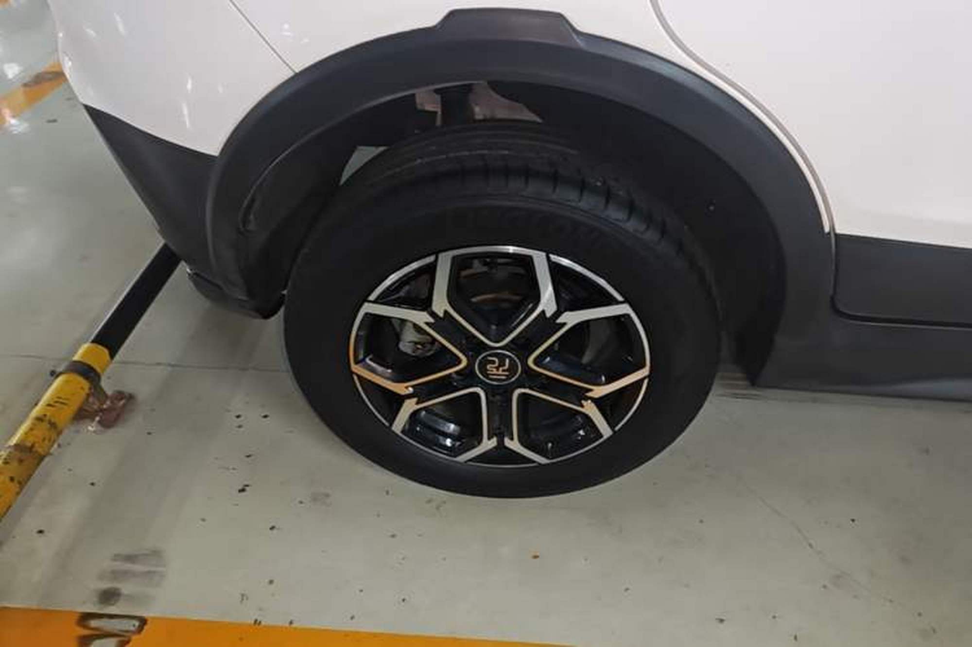 Миниатюра 11