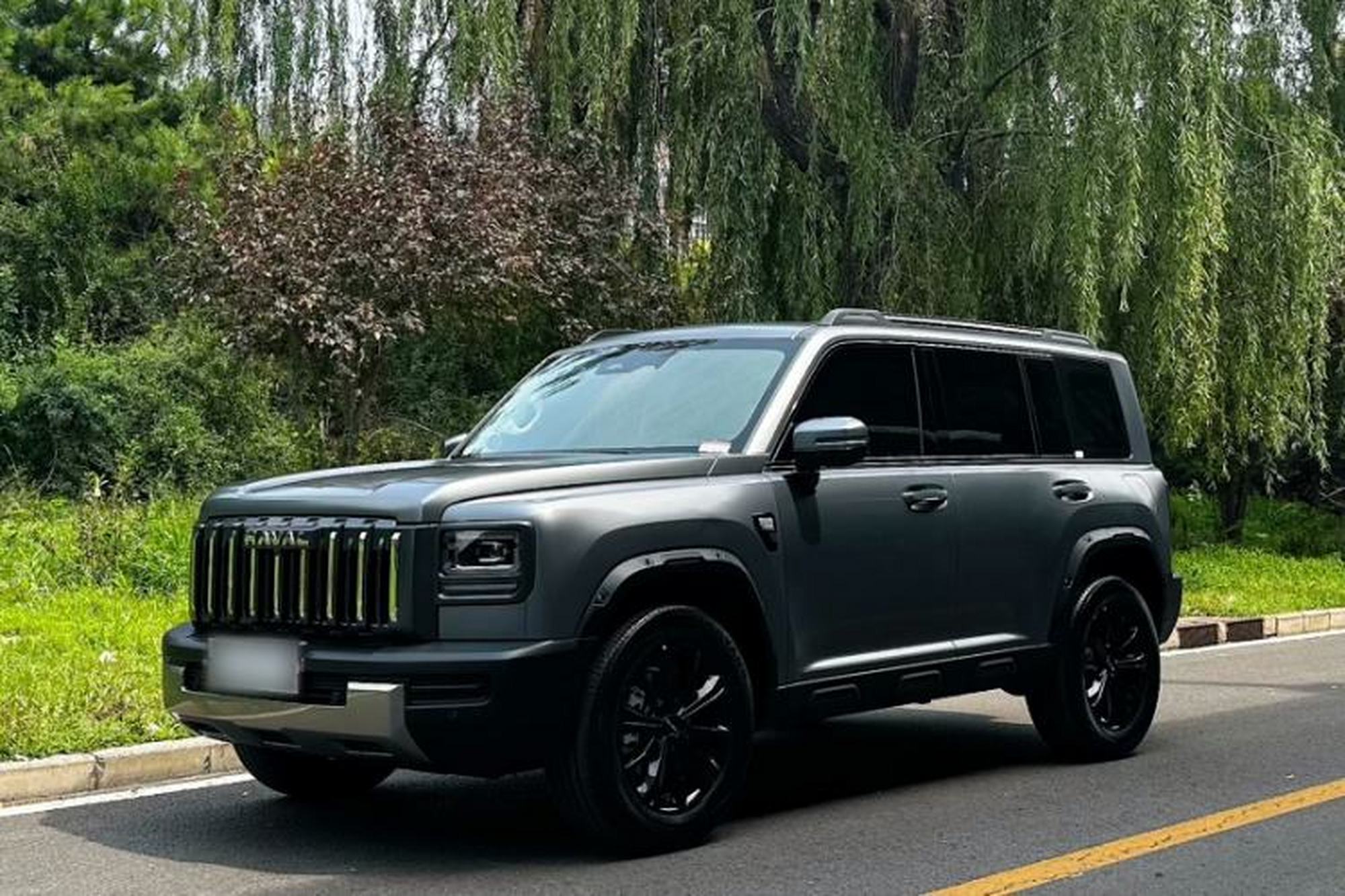 Haval Raptor